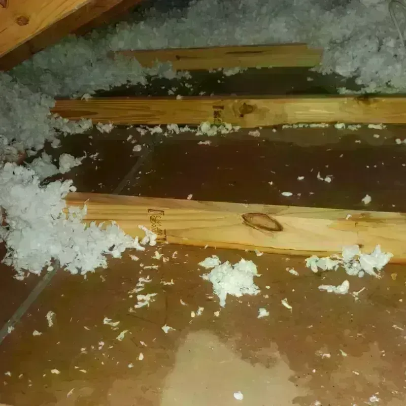 Attic Water Damage in Macon County, GA